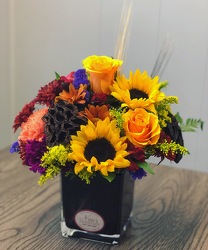 NF Fall Harvest Cube from Nate's Flowers in Casper, WY