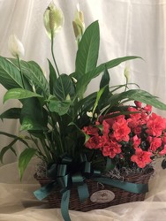Double Plant Basket from Nate's Flowers in Casper, WY