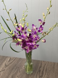 Orchid Vase  from Nate's Flowers in Casper, WY