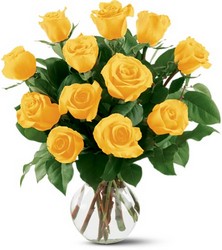 12 Yellow Roses from Nate's Flowers in Casper, WY