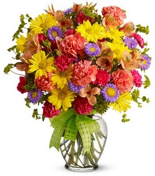 Make a Wish - Premium from Nate's Flowers in Casper, WY