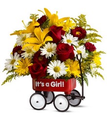 Teleflora's Baby's First Wagon - Girl - Deluxe from Nate's Flowers in Casper, WY