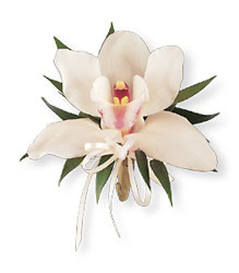 Cymbidium Orchid Corsage from Nate's Flowers in Casper, WY