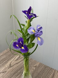 3 Iris Budvase from Nate's Flowers in Casper, WY
