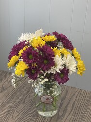 Daisy Blooms  from Nate's Flowers in Casper, WY