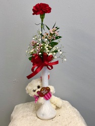 NFCARNATIONBEARHUG from Nate's Flowers in Casper, WY