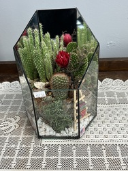 Cactus Garden-Small from Nate's Flowers in Casper, WY
