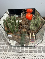 Cactus Garden-Medium from Nate's Flowers in Casper, WY