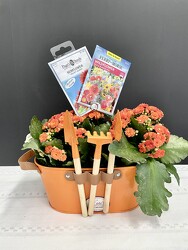 Blooming Garden  from Nate's Flowers in Casper, WY
