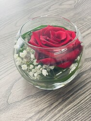 Rose Bowl from Nate's Flowers in Casper, WY