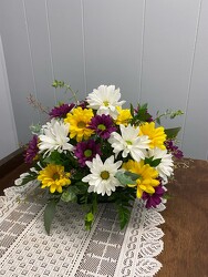 ToDaisy from Nate's Flowers in Casper, WY