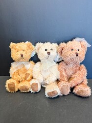 Scruffy Huggums Teddy Bear from Nate's Flowers in Casper, WY