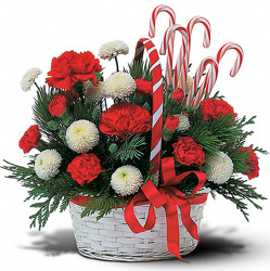Candy Cane Basket from Nate's Flowers in Casper, WY