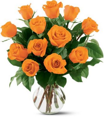 12 Orange Roses