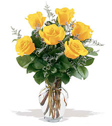 6 Yellow Roses from Nate's Flowers in Casper, WY